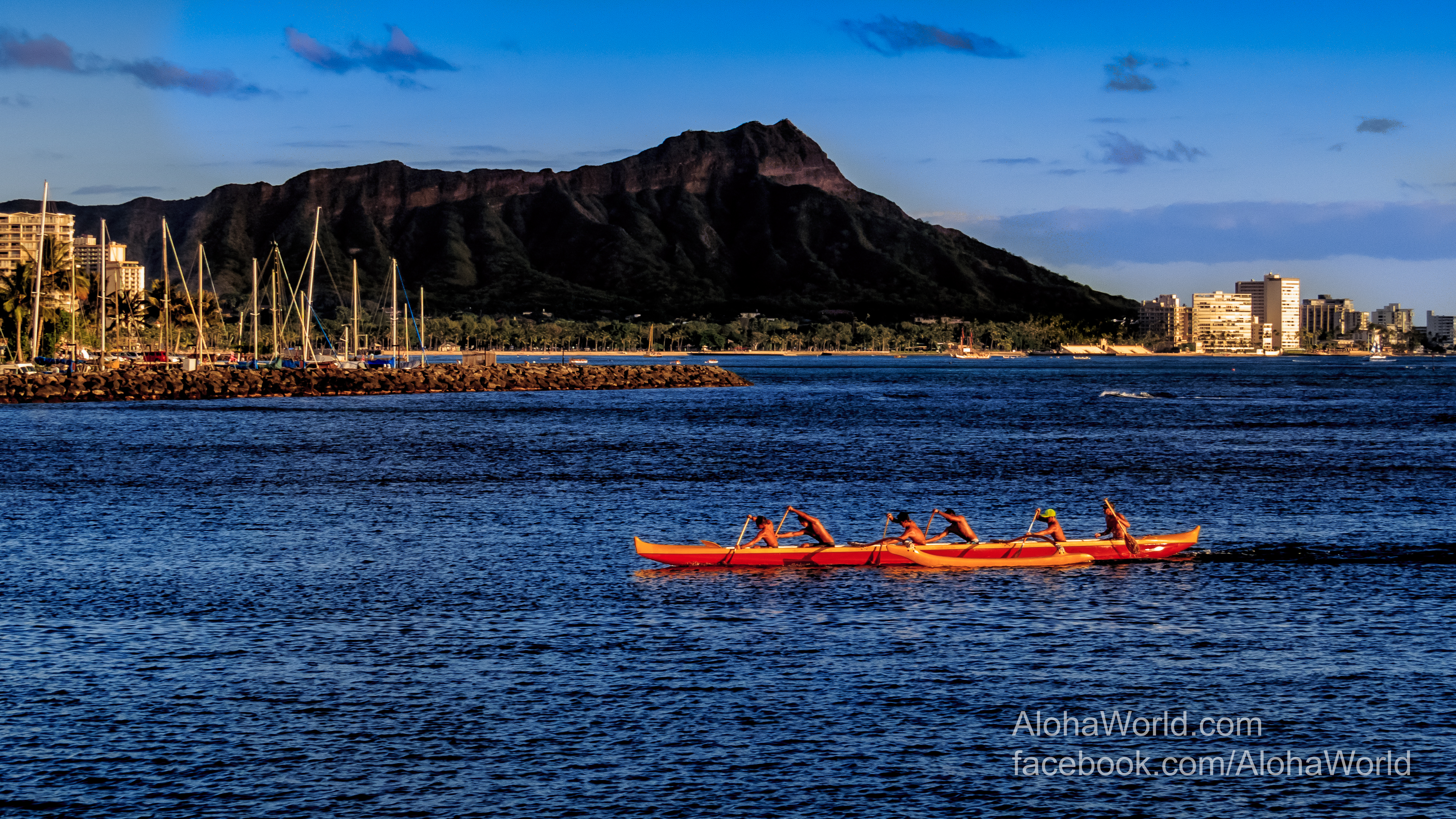 Waikiki Paddle